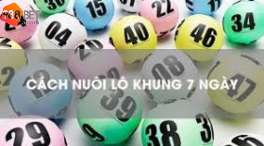 Vài nét tổng quan về nuôi lô khung 7 ngày 